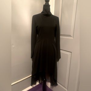 Hi-Low long sleeve blouse/mini dress.